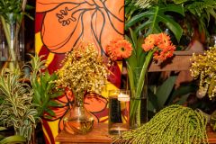 Baile-Tropical-85