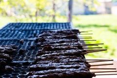 cerimonia-posse-federacao-metal278