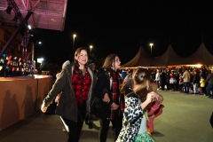 Festa_Junina_Sindicato_Dos_Metalurgicos213