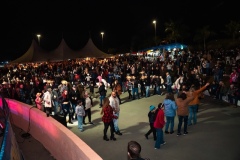 Festa_Junina_Sindicato_Dos_Metalurgicos244