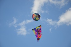 WhatsApp-Image-2025-08-18-at-09.47.51-3