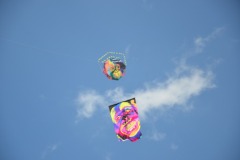 WhatsApp-Image-2025-08-18-at-09.47.52-1