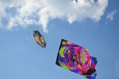 WhatsApp-Image-2025-08-18-at-09.47.56