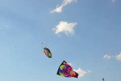 WhatsApp-Image-2025-08-18-at-09.47.57