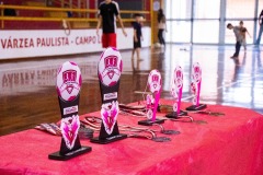 festa-futsal-fem-25-45