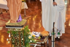 DSC_5129-520x785