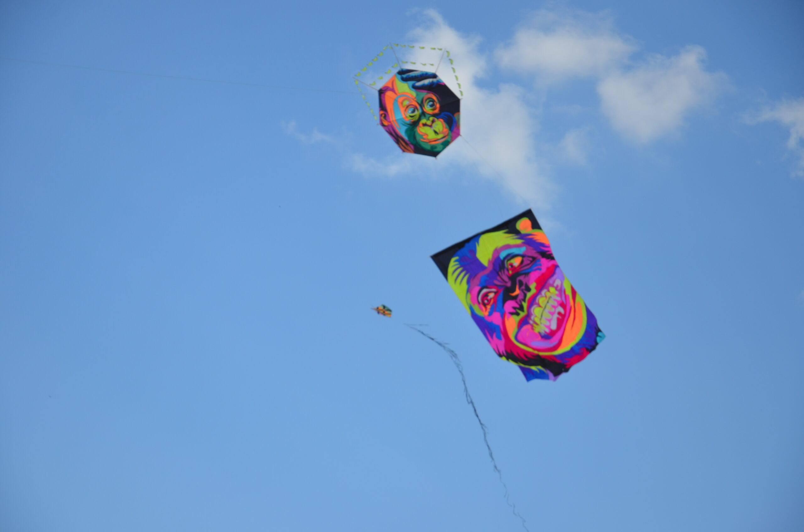 Festival de Pipas colore o céu no Clube de Campo dos Metalúrgicos